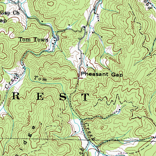 Topographic Map of Pheasant Gap, TN