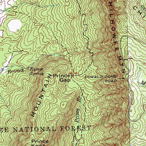 Topographic Map of Prince Gap, TN