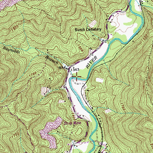 Topographic Map of Reynolds Branch, TN
