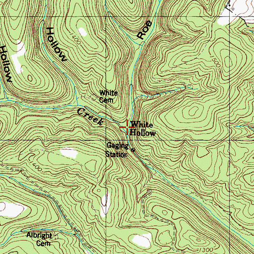 Topographic Map of Roe Hollow, TN