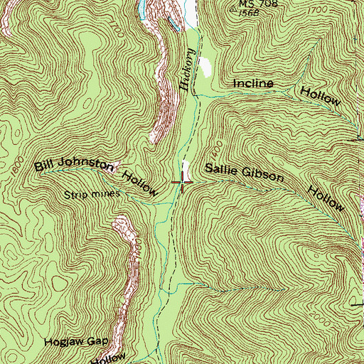 Topographic Map of Sallie Gibson Hollow, TN