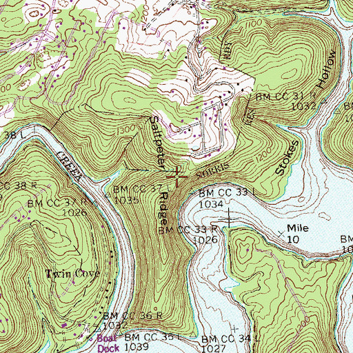Topographic Map of Saltpeter Ridge, TN