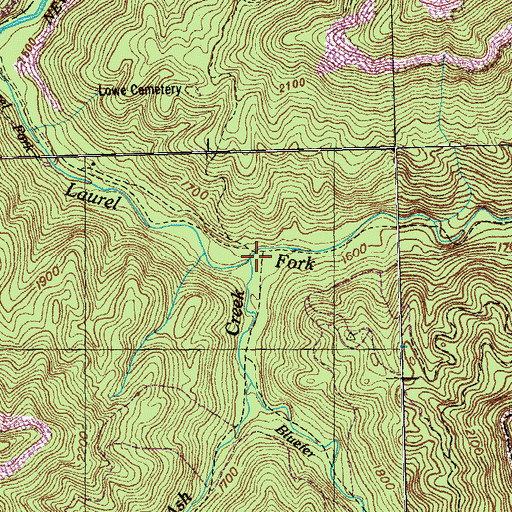 Topographic Map of Skinned Ash Creek, TN