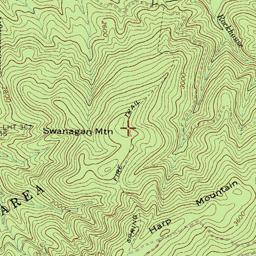 Topographic Map of Swanagan Mountain, TN