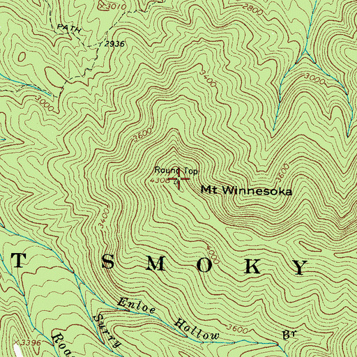 Topographic Map of Mount Winnesoka, TN