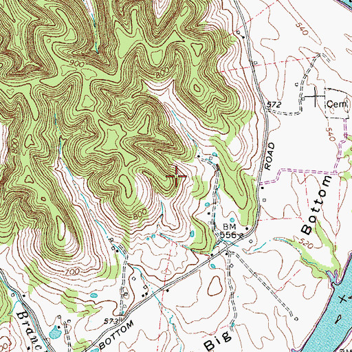 Topographic Map of Big Bottom, TN