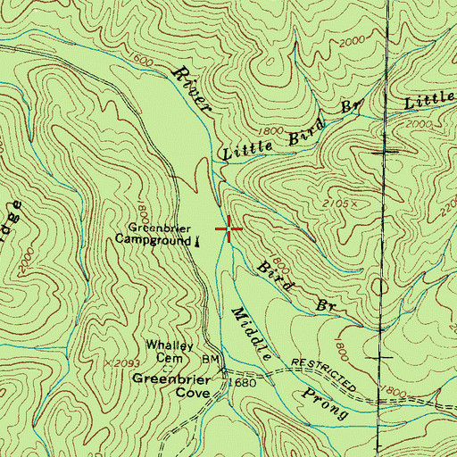 Topographic Map of Bird Branch, TN