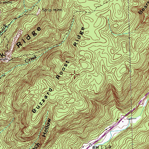 Topographic Map of Buzzard Roost Ridge, TN