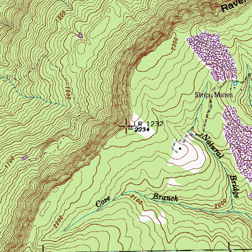 Topographic Map of Swanner Pass, TN