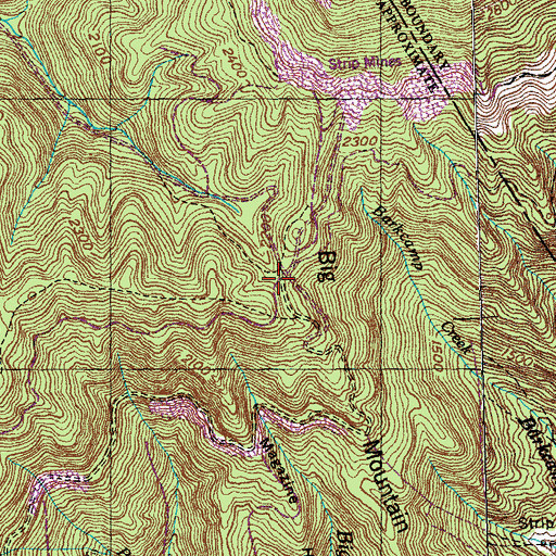 Topographic Map of Carter Spring, TN