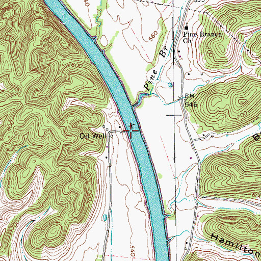 Topographic Map of Pine Branch Shoals, TN