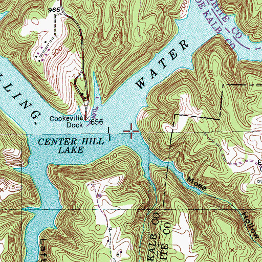 Topographic Map of Mose Hollow, TN