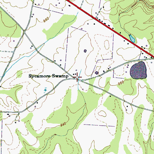 Topographic Map of Sycamore Swamp, TN