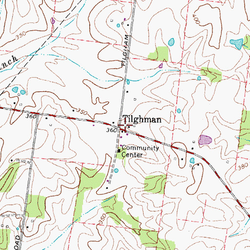 Topographic Map of Tilghman, TN