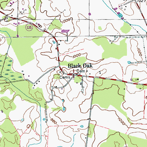 Topographic Map of Black Oak, TN