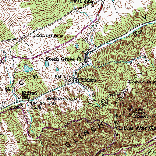 Topographic Map of Eidson, TN