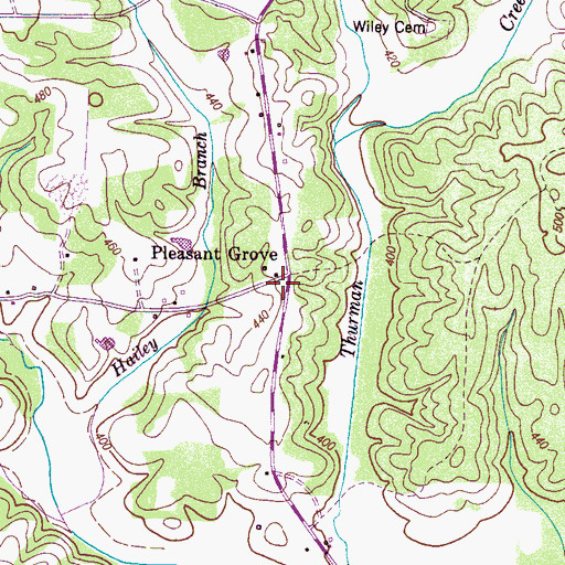Topographic Map of Pleasant Grove, TN