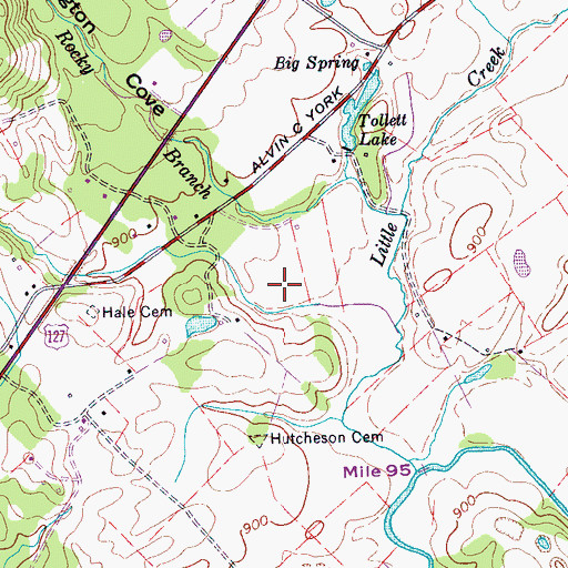 Topographic Map of Cedar Grove Church (historical), TN