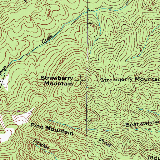 Topographic Map of Strawberry Mountain, TN