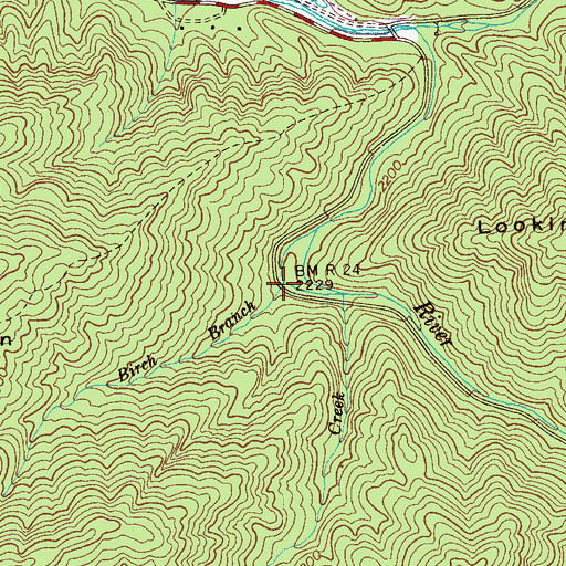 Topographic Map of Birch Branch, TN