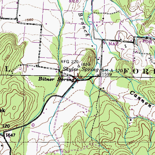 Topographic Map of Bitner Spring, TN