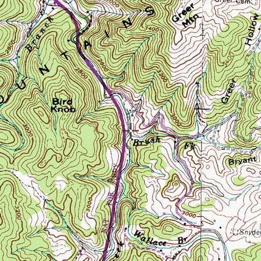 Topographic Map of Brush Fork, TN
