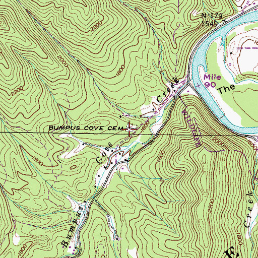 Topographic Map of Bumpus Cove Cemetery, TN