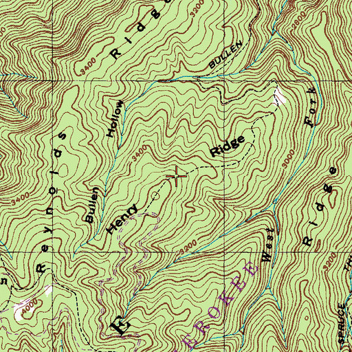 Topographic Map of Henry Ridge, TN