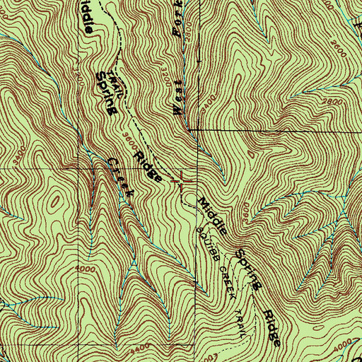 Topographic Map of Middle Spring Ridge, TN