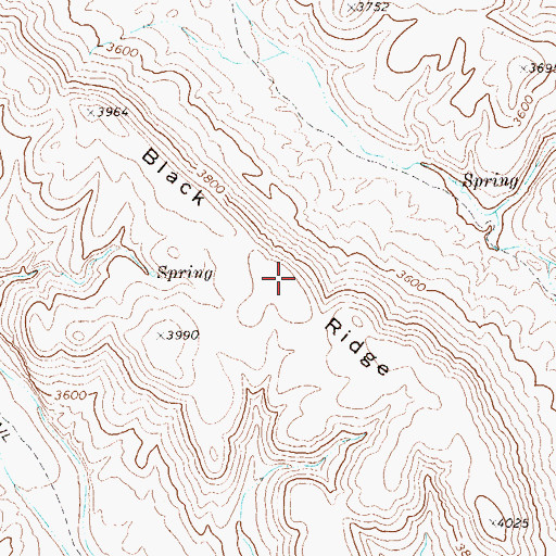 Topographic Map of Black Ridge, TX