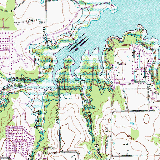 Topographic Map of Cable Branch, TX