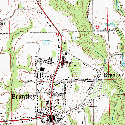 Topographic Map of Brantley High School, AL