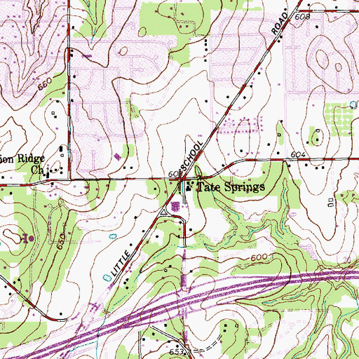 Topographic Map of Tate Springs, TX