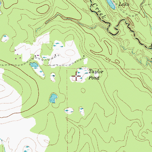 Topographic Map of Taylor Pond, TX