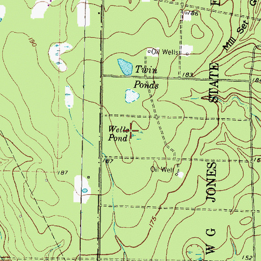 Topographic Map of Wells Pond, TX