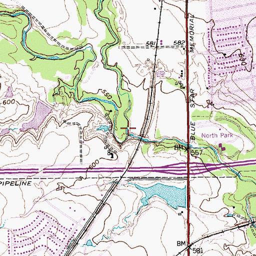 Topographic Map of Whites Branch, TX