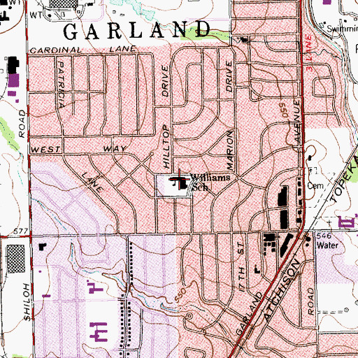 Topographic Map of Williams School, TX
