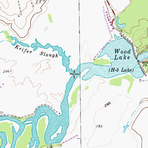 Topographic Map of Wood Lake, TX