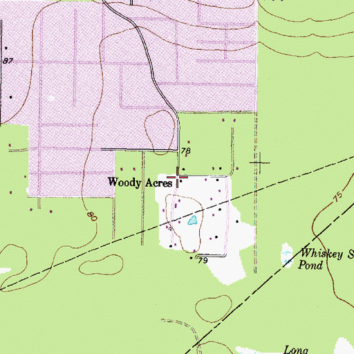 Topographic Map of Woody Acres, TX