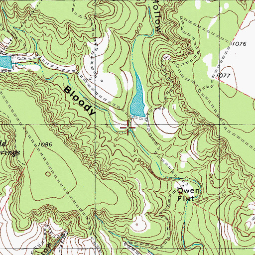 Topographic Map of Brown Hollow, TX