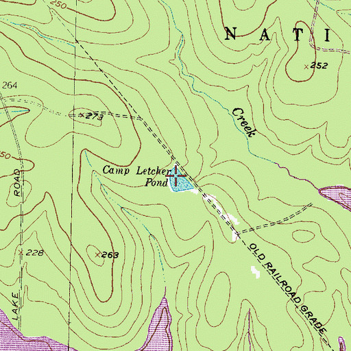 Topographic Map of Camp Letcher Pond, TX