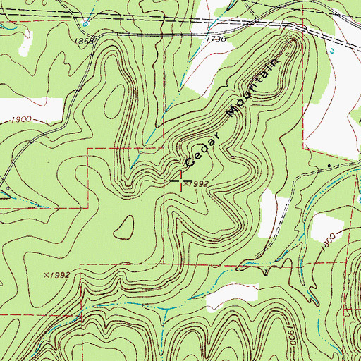 Topographic Map of Cedar Mountain, TX