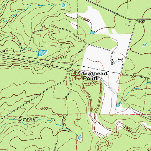 Topographic Map of Flathead Point, TX
