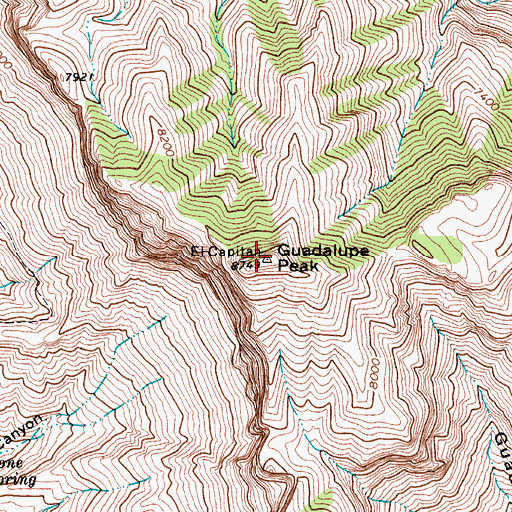 Topographic Map of Guadalupe Peak, TX