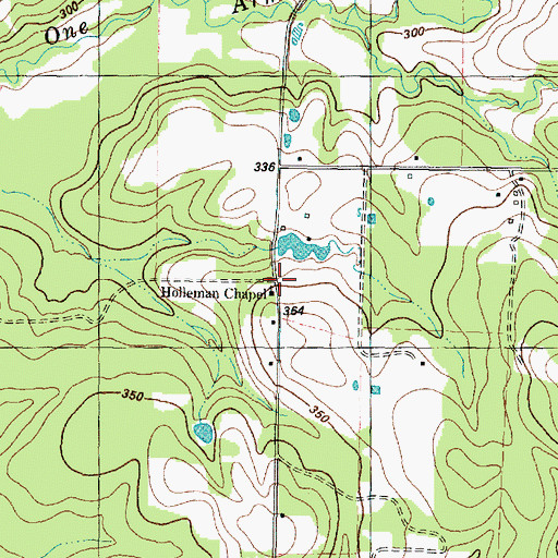 Topographic Map of Holleman Chapel, TX