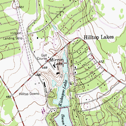 Topographic Map of Mirror Lake, TX