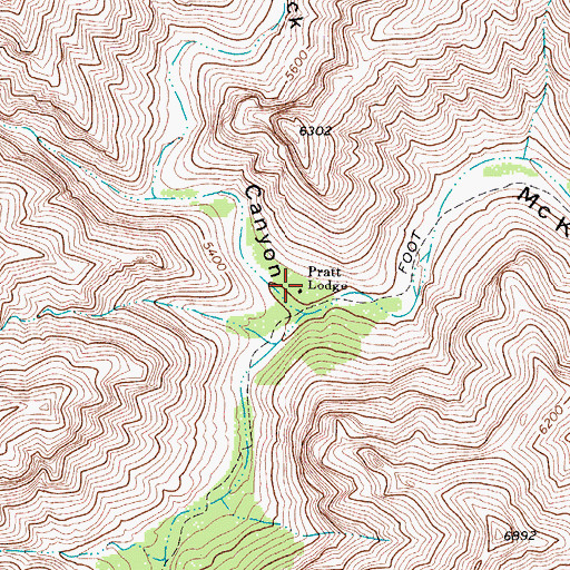 Topographic Map of Wallace Pratt Lodge, TX