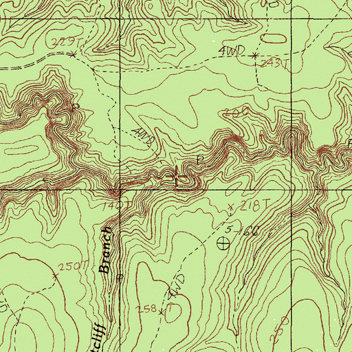 Topographic Map of Ratcliff Branch, TX