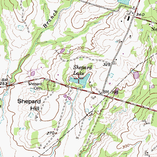 Topographic Map of Shepard Lake, TX