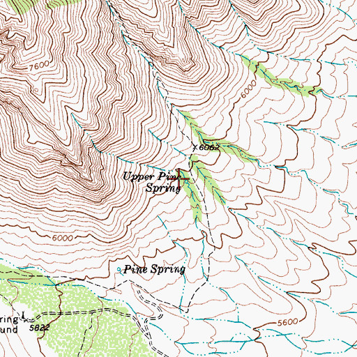 Topographic Map of Upper Pine Spring, TX